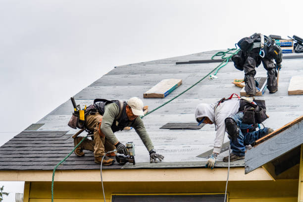 Professional Gutter Installation technician working in La Ward, TX
