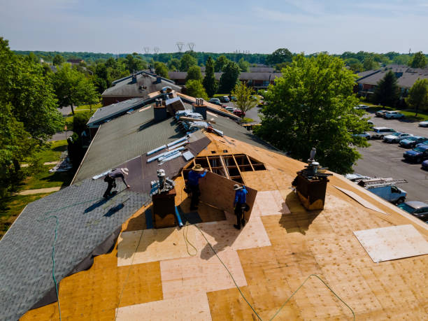 Trusted Metal Roofing service in La Ward, TX - Brentwood Metal Roofing